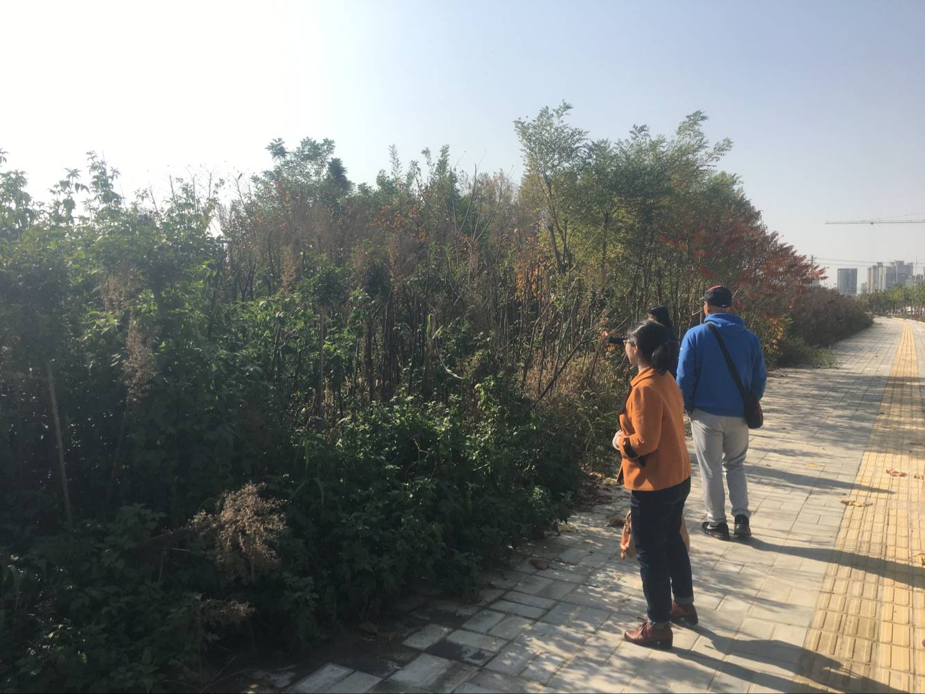 鄠邑区近几年gdp_鄠邑区